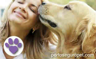 Pet Plus